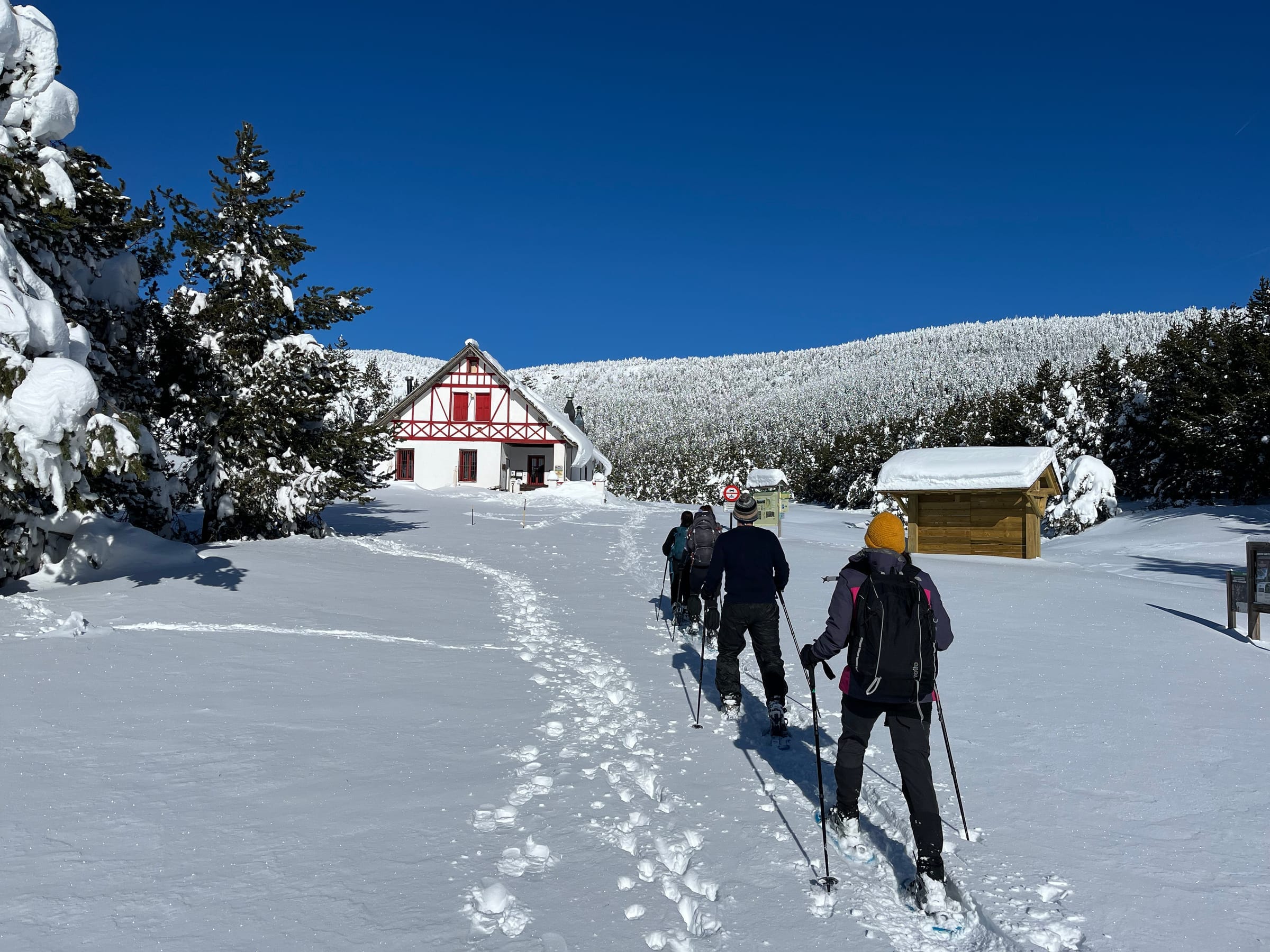 Raquetes de neu