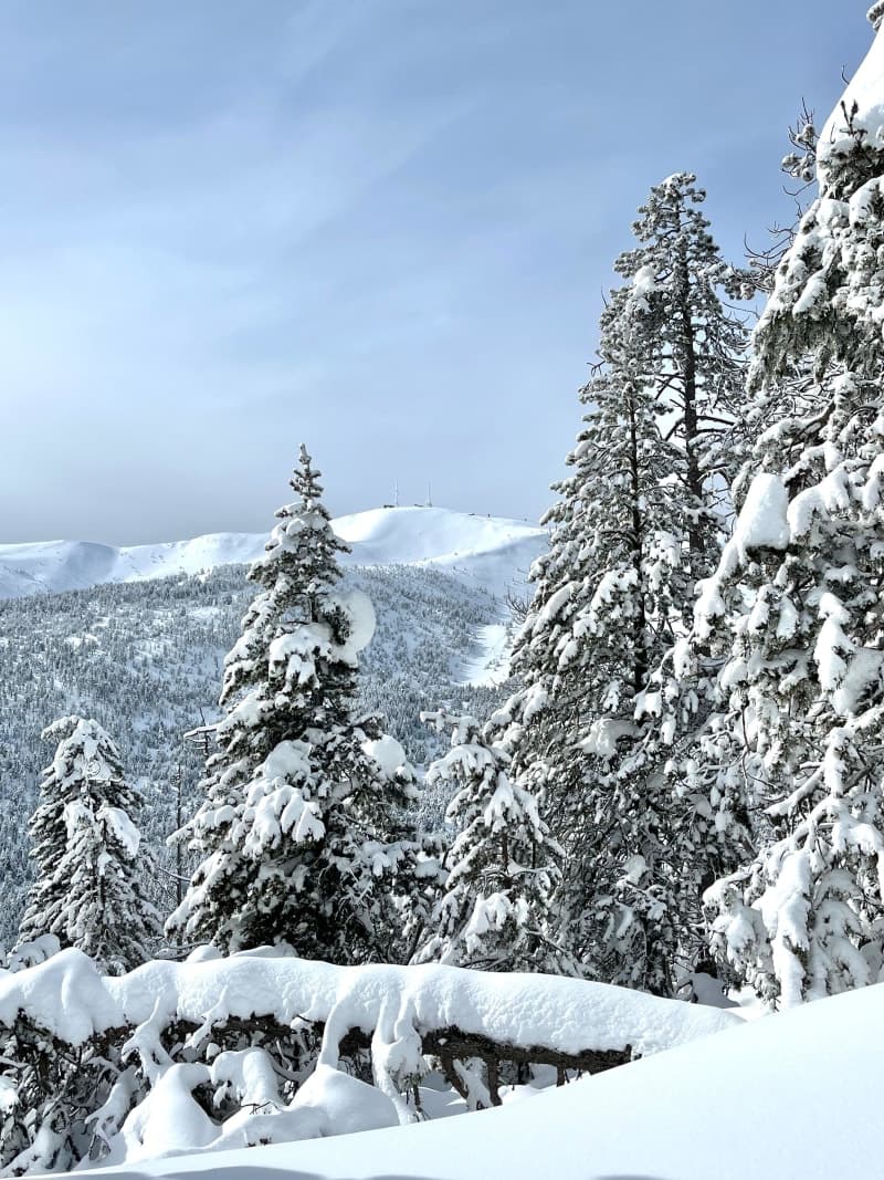 Circular a la Torreta de l'Orri